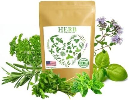 600+ Herbs Seeds for Planting Heirloom and Non GMO Culinary Herb Seeds Variety 6 Pack Mint Basil Parsley Rosemary Cilantro Thyme, Grow Herbs Indoors & Outdoors Year Round