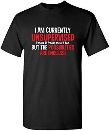 I Am Currently Unsupervised Possibilities are Endless Joke Mens Funny T Shirt