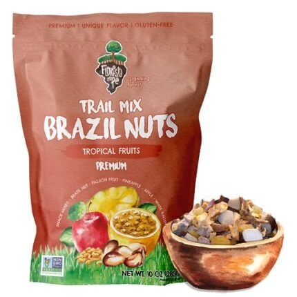 Tropical Trail Mix (10oz) - The True Organic Brazil Nuts Roasted + Dried Apple + Dried White Raisins + Dried Pineapple + Passion Fruit Fruit Nibs | Nutrient-rich Combination | Non-Gmo | Fresh | Vegan | Gluten Free - Premium Snack Mix by Floresta em Pé