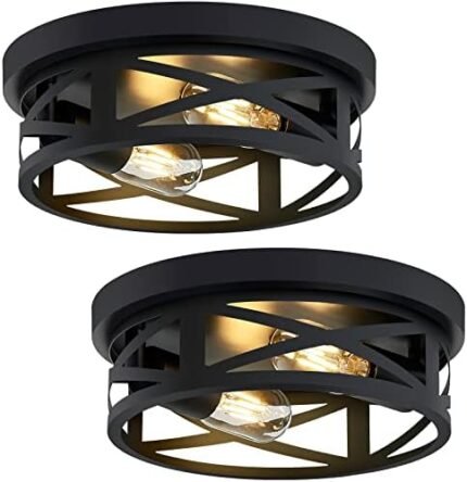 ZHU YAN 2 Pack Black Flush Mount Ceiling Light,Industrial Farmhouse Metal Cage Black Light Fixtures Ceiling Mount for Kitchen Entryway Hallway E26 Base (10.63in)