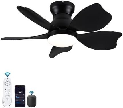 Ceiling Fan with Lights, 30 inch Remote Control, Low Profile DC Smart Ceiling Fan Works with Alexa, Google Home & Smart APP, Black Flush Mount Ceiling Fan Suitable for Bedroom Dining Room Kitchen