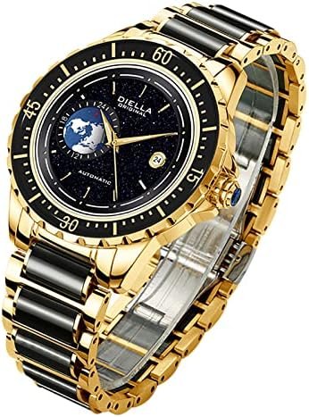 Diella Automatic Watches for Men, Luxury Black Jade Men's Dress Wrist Watch, Self Winding Mechanical Gold Stainless Steel Case Watch with Date, Luminous Starry Sky Globe (Model: AD6058G)