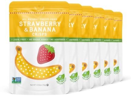 Nature's Turn Freeze-Dried Fruit Snacks, Strawberry Banana Crisps, Pack of 6 (0.53 oz Each)