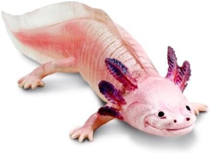 Safari Ltd. Axolotl Figurine - Realistic 7" Model Figure - Educational Toy for Boys, Girls, and Kids Ages 3+