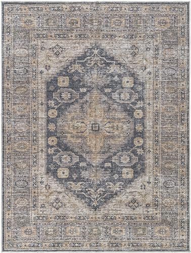 Surya Traditional Vinny Washable Area Rug, 8'10" x 12' (9' x 12'), Brown/Black