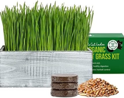 The Cat Ladies Cat Grass Kit 100% Organic. Complete with Rustic Wood Planter - Seed and Soil